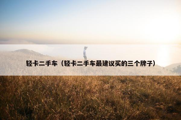 轻卡二手车（轻卡二手车最建议买的三个牌子）