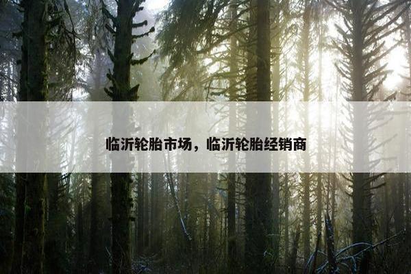 临沂轮胎市场，临沂轮胎经销商