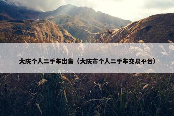 大庆个人二手车出售（大庆市个人二手车交易平台）