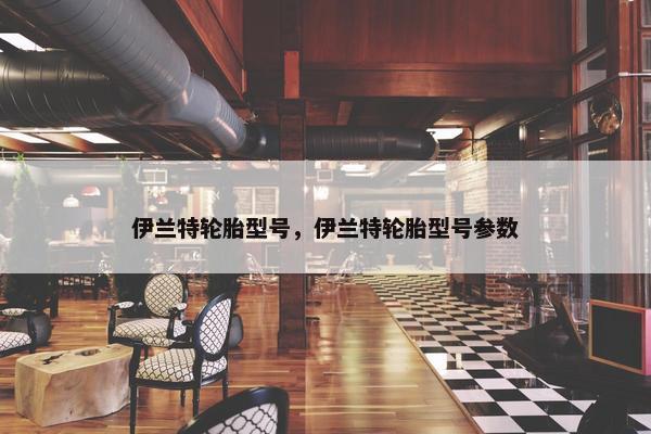 伊兰特轮胎型号，伊兰特轮胎型号参数