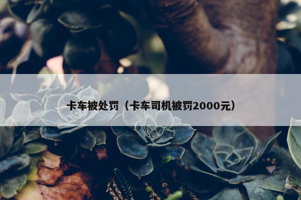 卡车被处罚（卡车司机被罚2000元）