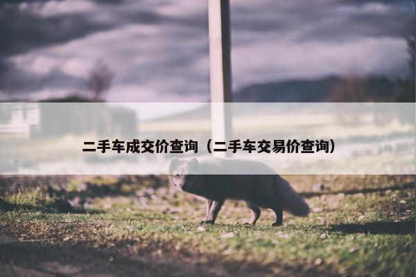 二手车成交价查询（二手车交易价查询）