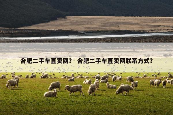 合肥二手车直卖网？ 合肥二手车直卖网联系方式？
