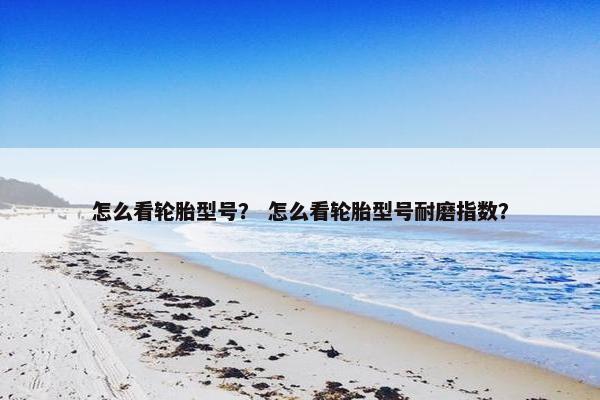 怎么看轮胎型号？ 怎么看轮胎型号耐磨指数？