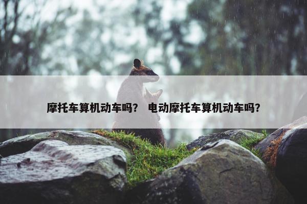 摩托车算机动车吗？ 电动摩托车算机动车吗？