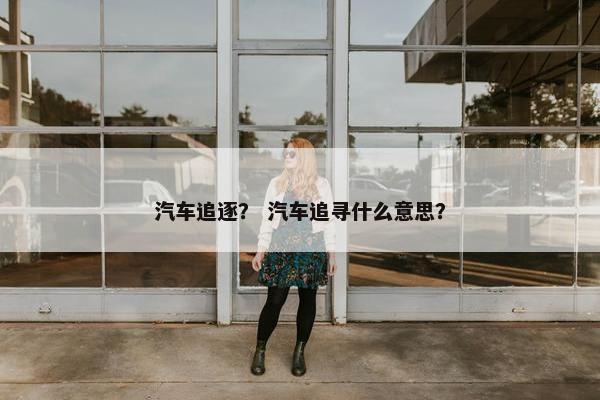 汽车追逐？ 汽车追寻什么意思？