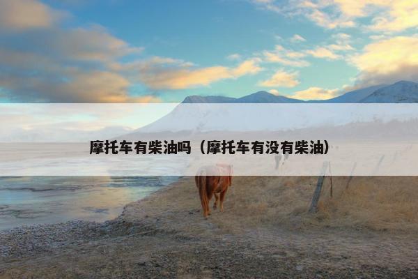 摩托车有柴油吗（摩托车有没有柴油）