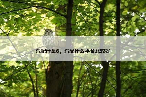 汽配什么6，汽配什么平台比较好