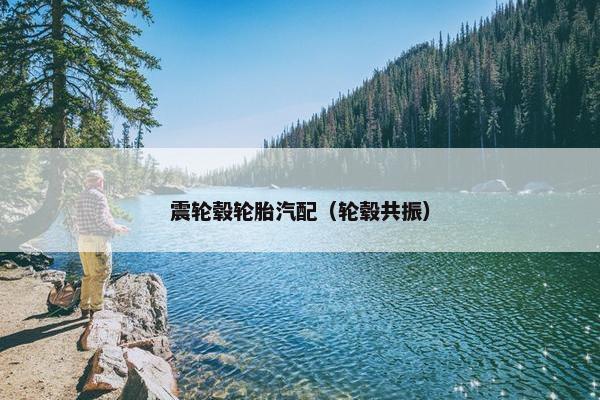 震轮毂轮胎汽配（轮毂共振）
