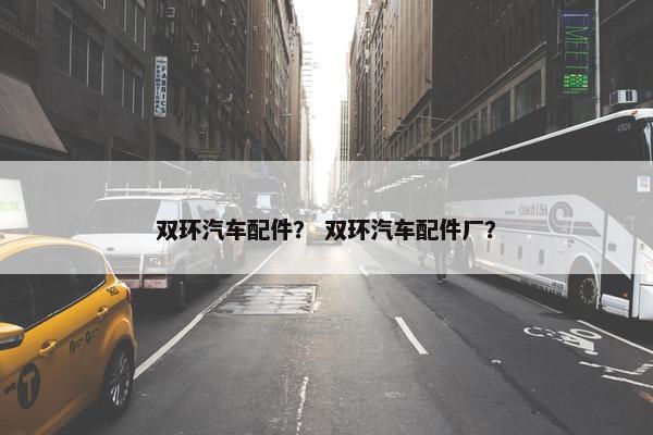 双环汽车配件？ 双环汽车配件厂？