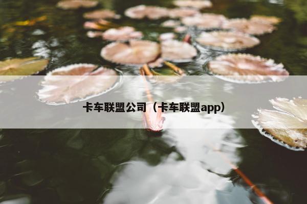 卡车联盟公司（卡车联盟app）