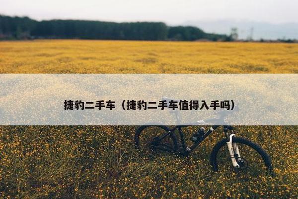 捷豹二手车（捷豹二手车值得入手吗）