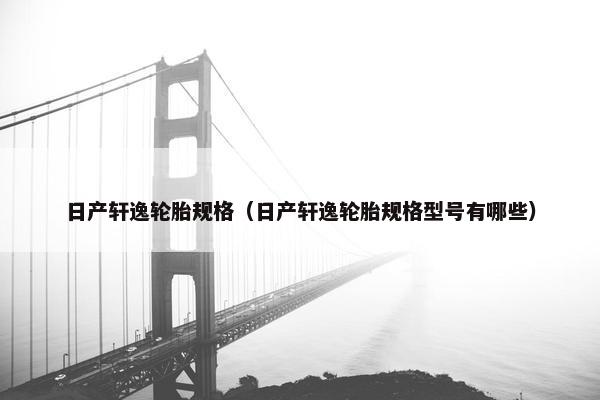 日产轩逸轮胎规格（日产轩逸轮胎规格型号有哪些）