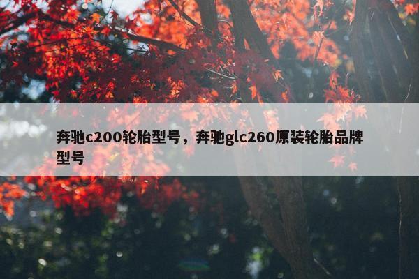 奔驰c200轮胎型号，奔驰glc260原装轮胎品牌型号