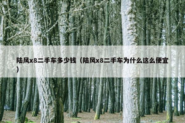 陆风x8二手车多少钱（陆风x8二手车为什么这么便宜）