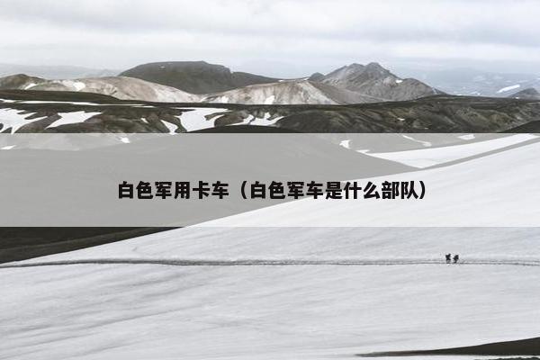 白色军用卡车（白色军车是什么部队）