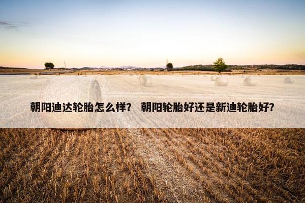 朝阳迪达轮胎怎么样？ 朝阳轮胎好还是新迪轮胎好？