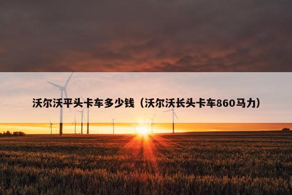 沃尔沃平头卡车多少钱（沃尔沃长头卡车860马力）