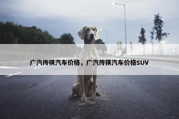 广汽传祺汽车价格，广汽传祺汽车价格SUV