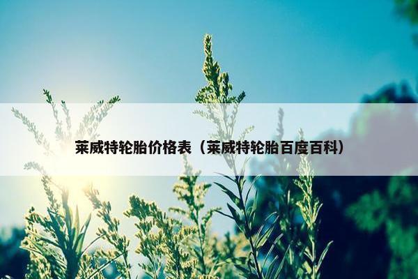 莱威特轮胎价格表（莱威特轮胎百度百科）