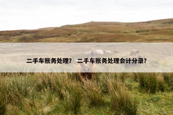 二手车账务处理？ 二手车账务处理会计分录？