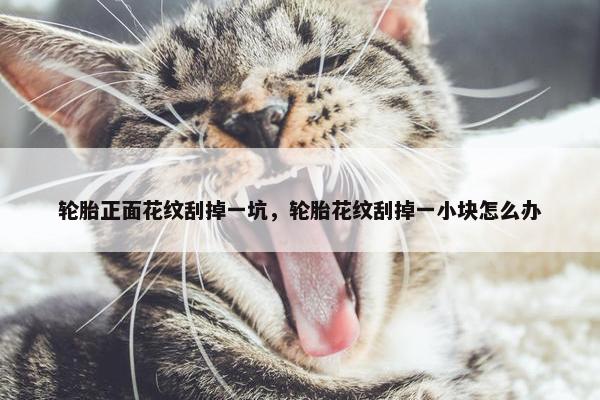 轮胎正面花纹刮掉一坑，轮胎花纹刮掉一小块怎么办