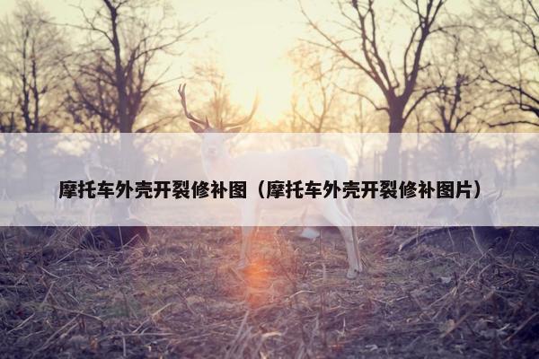 摩托车外壳开裂修补图（摩托车外壳开裂修补图片）