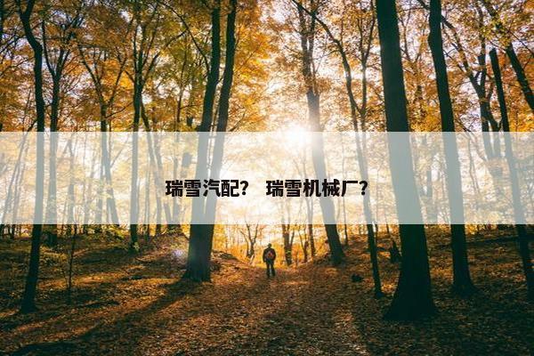 瑞雪汽配？ 瑞雪机械厂？
