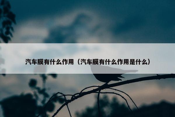 汽车膜有什么作用（汽车膜有什么作用是什么）