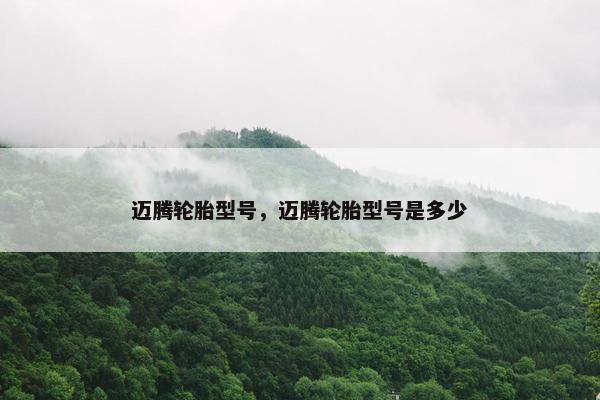 迈腾轮胎型号，迈腾轮胎型号是多少