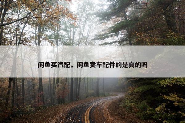闲鱼买汽配，闲鱼卖车配件的是真的吗
