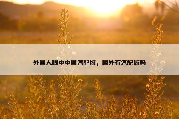 外国人眼中中国汽配城，国外有汽配城吗