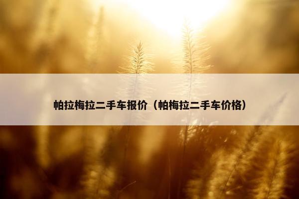 帕拉梅拉二手车报价（帕梅拉二手车价格）