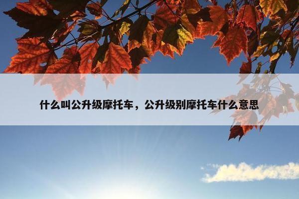 什么叫公升级摩托车，公升级别摩托车什么意思