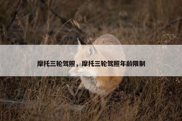 摩托三轮驾照，摩托三轮驾照年龄限制