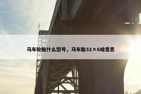 马车轮胎什么型号，马车胎32×6啥意思