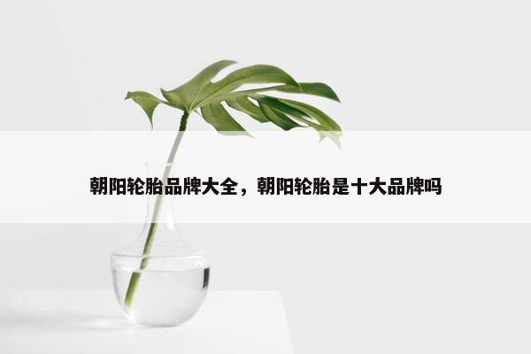 朝阳轮胎品牌大全，朝阳轮胎是十大品牌吗