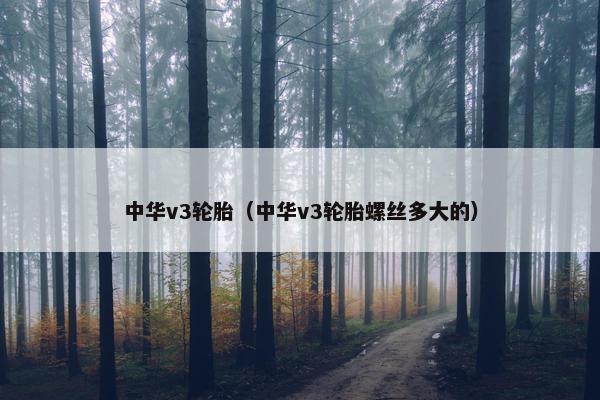 中华v3轮胎（中华v3轮胎螺丝多大的）
