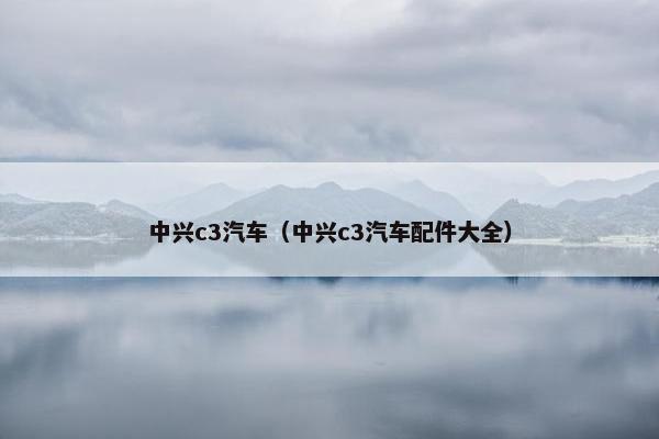 中兴c3汽车（中兴c3汽车配件大全）
