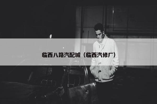 临西八路汽配城（临西汽修厂）