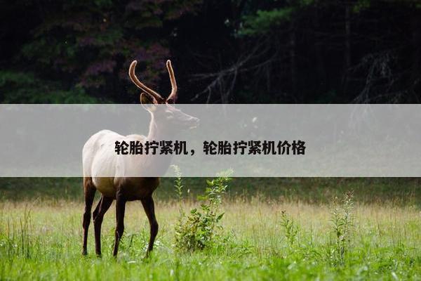 轮胎拧紧机，轮胎拧紧机价格