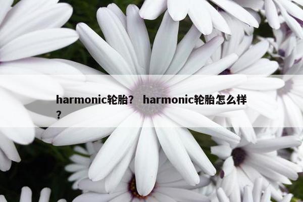 harmonic轮胎？ harmonic轮胎怎么样？