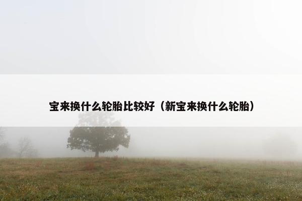 宝来换什么轮胎比较好（新宝来换什么轮胎）