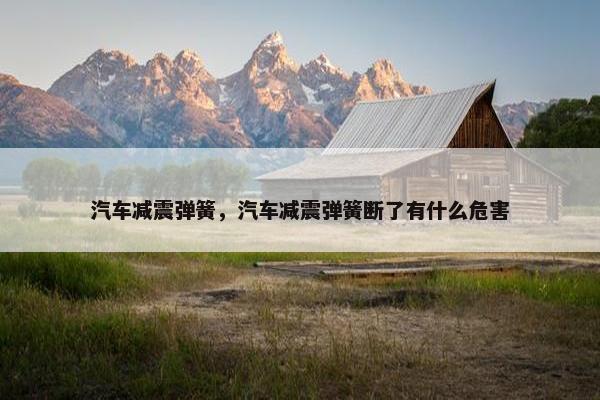 汽车减震弹簧，汽车减震弹簧断了有什么危害