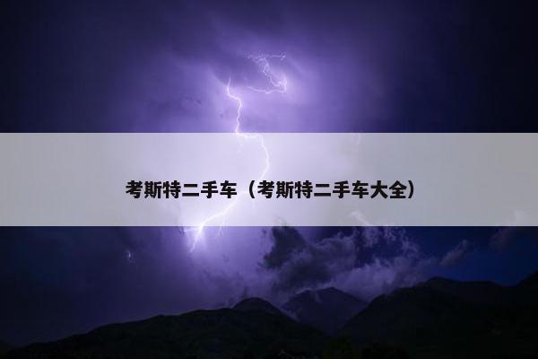 考斯特二手车（考斯特二手车大全）