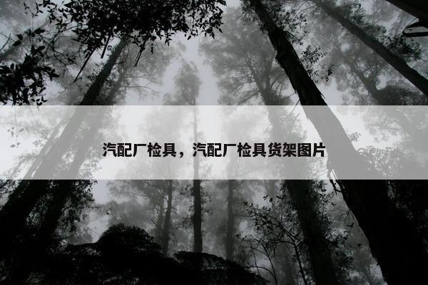 汽配厂检具，汽配厂检具货架图片