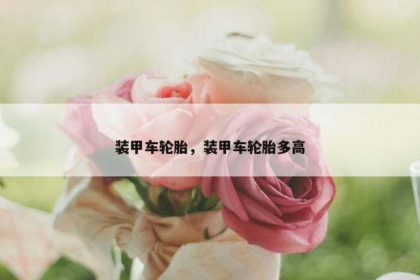 装甲车轮胎，装甲车轮胎多高