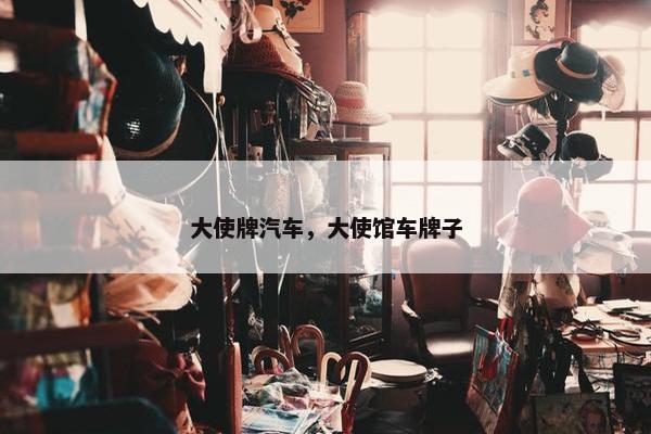 大使牌汽车，大使馆车牌子