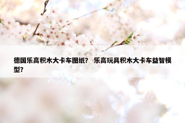 德国乐高积木大卡车图纸？ 乐高玩具积木大卡车益智模型？