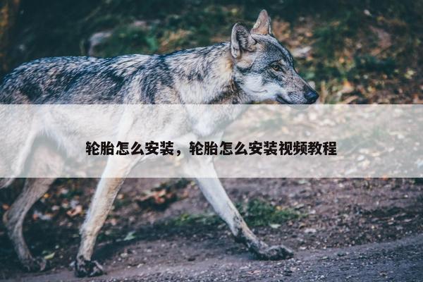 轮胎怎么安装，轮胎怎么安装视频教程